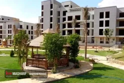 سرايات القطامية