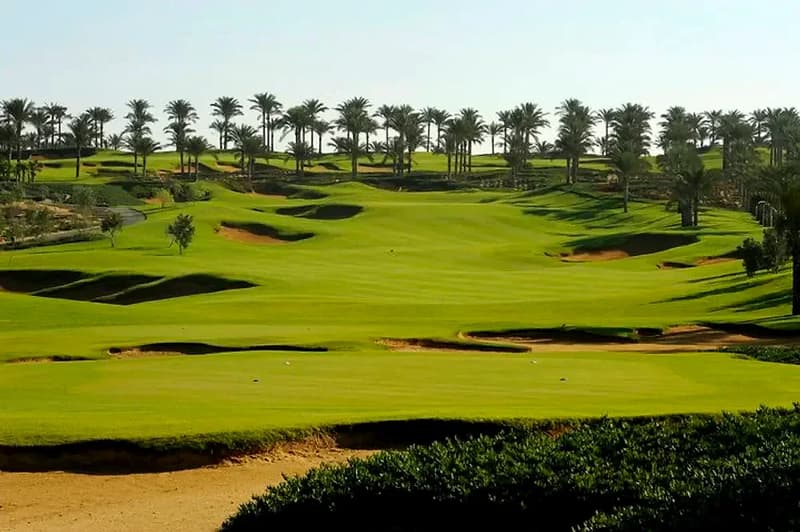 القطامية ديونز