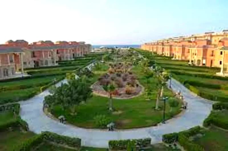 بلومار