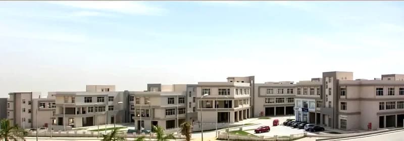 الكرمة 4