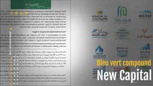 بلو فيرت العاصمة الادارية الجديدة - bleu vert new capital