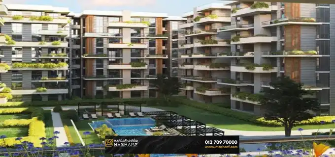 de joya compound