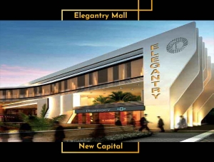Elegantry Mall commercial store