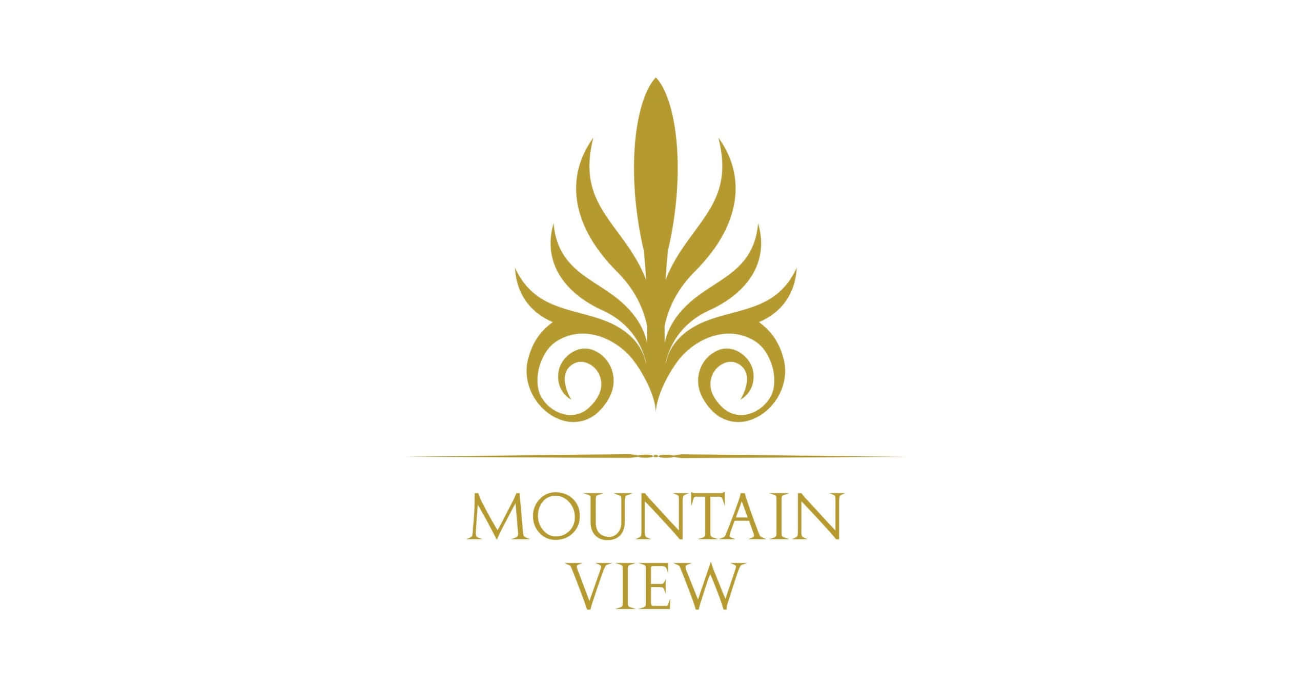 mountain view developments