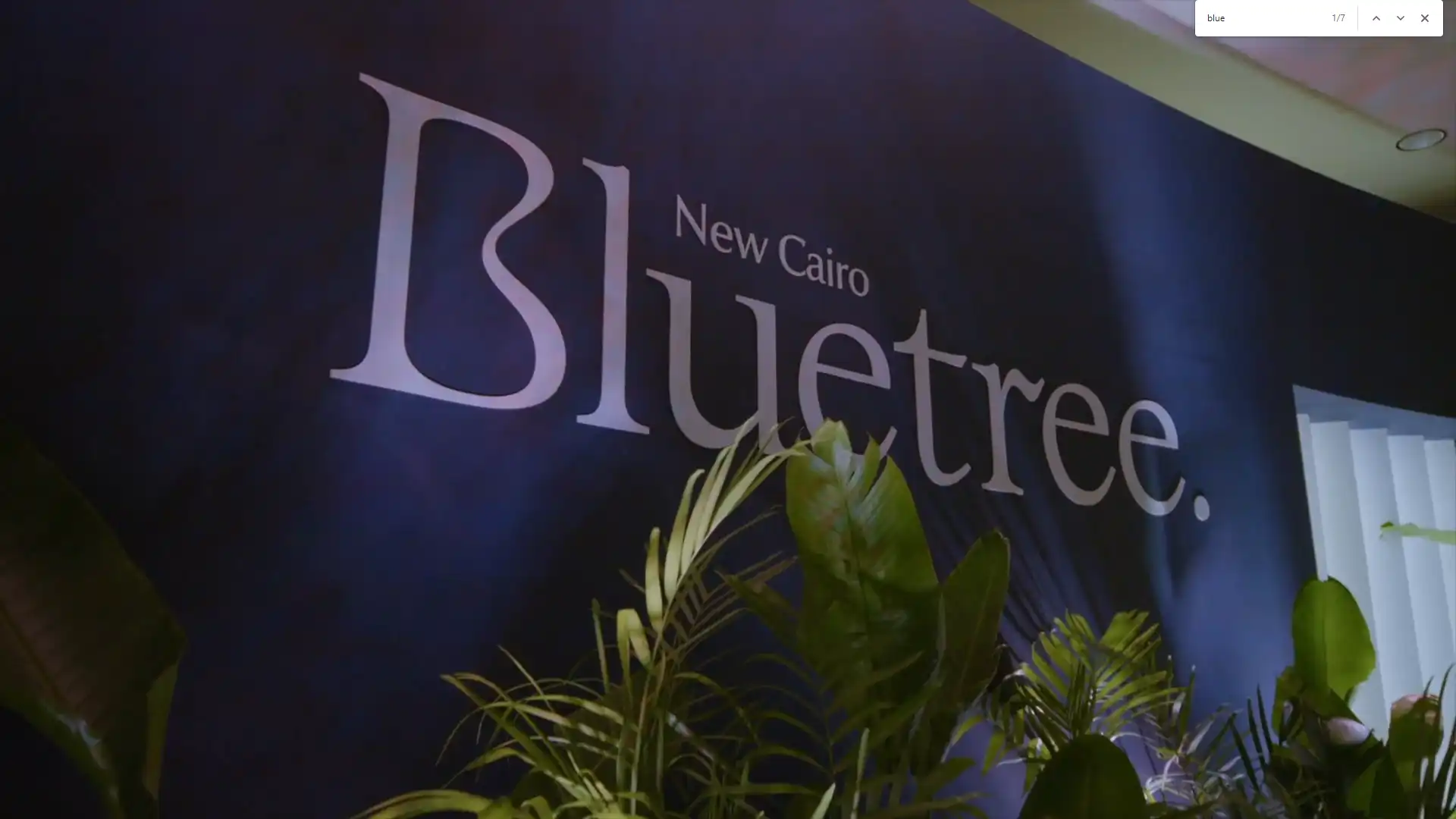 blue tree new cairo بلو تري القاهرة الجديدة التجمع الخامس (1)