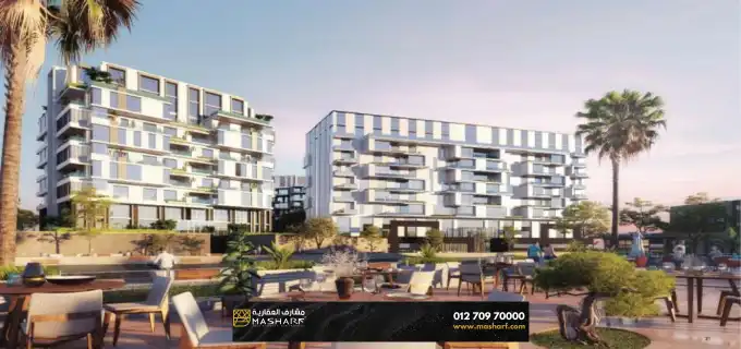 205 Arkan Palm in Sheikh Zayed